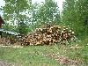 2003_0607_161356AA.jpg